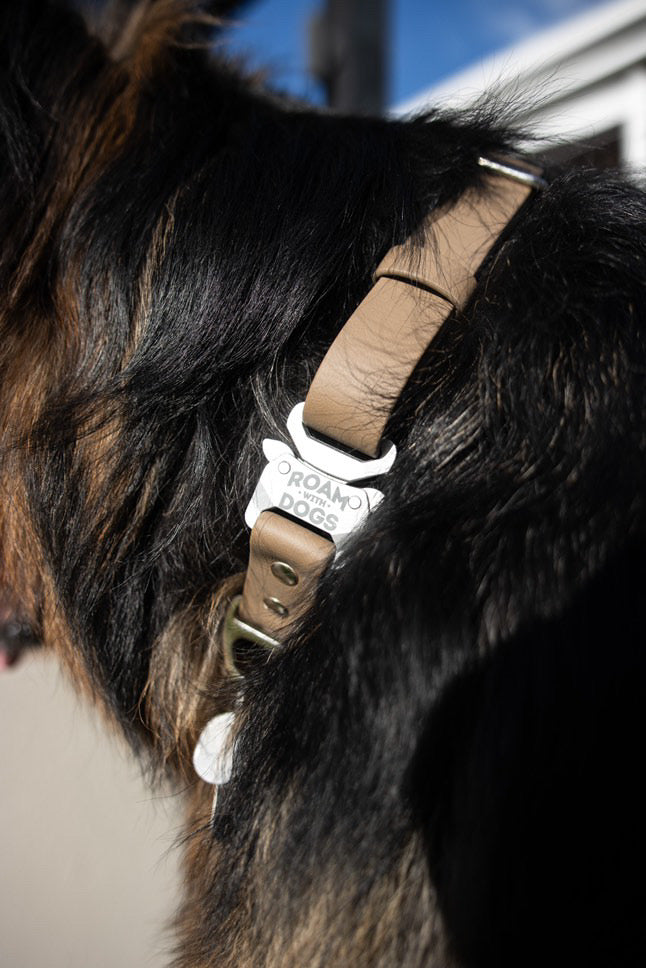 Clip Buckle Collar