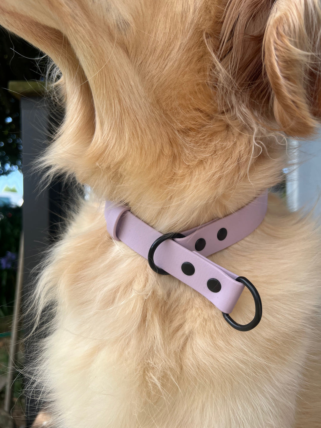 Slip Collar