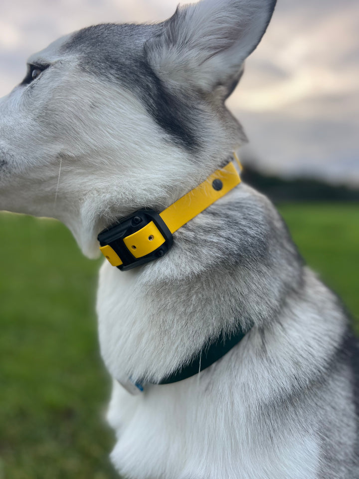 E Collar Strap - Yellow