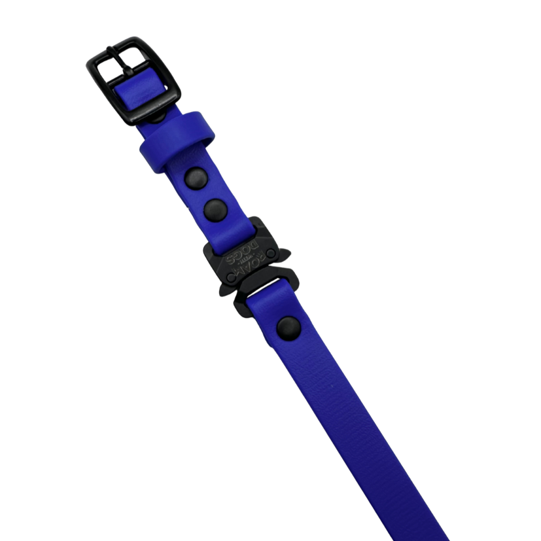E Collar Strap - Royal Blue