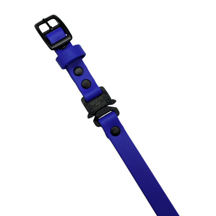 E Collar Strap - Royal Blue
