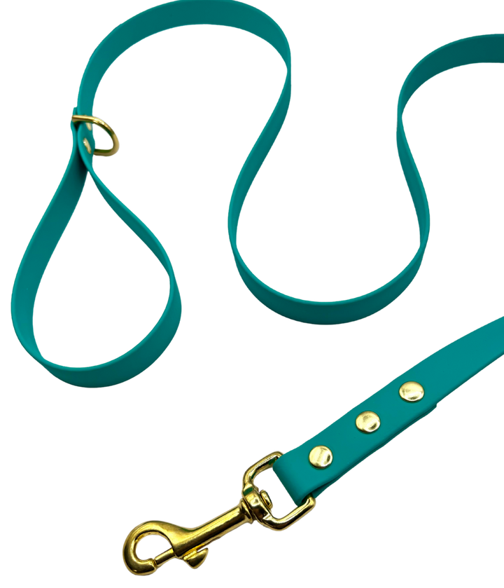 Everyday Leash - Lagune