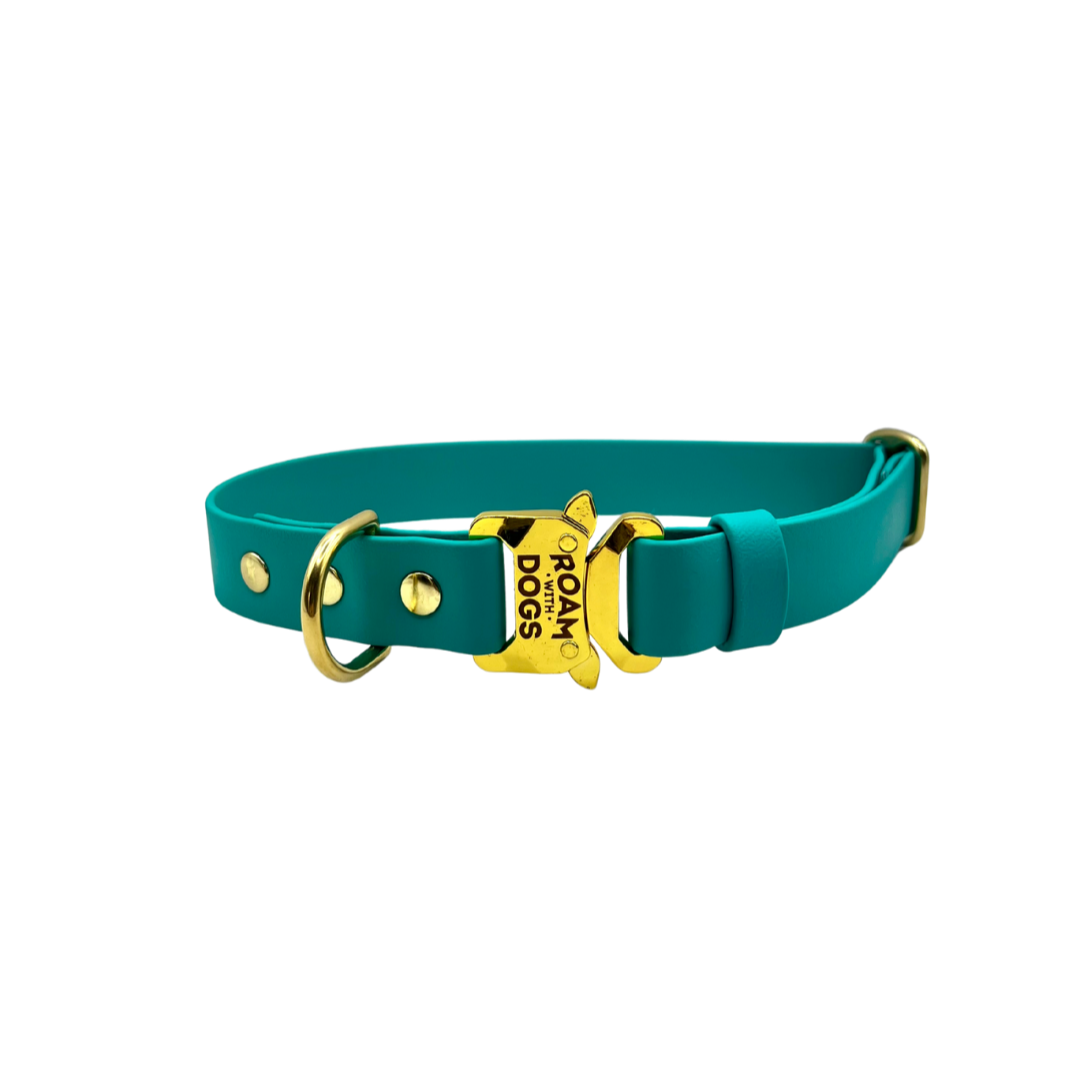 Clip Buckle Collar - Lagune