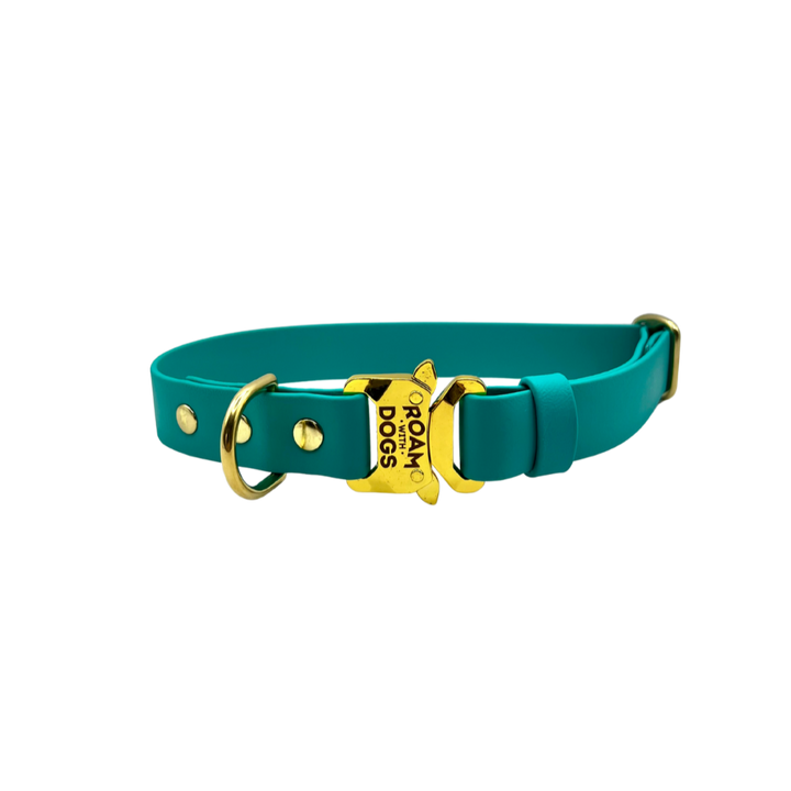 Clip Buckle Collar - Lagune