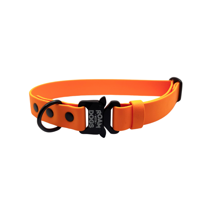 Clip Buckle Collar - Mandarin