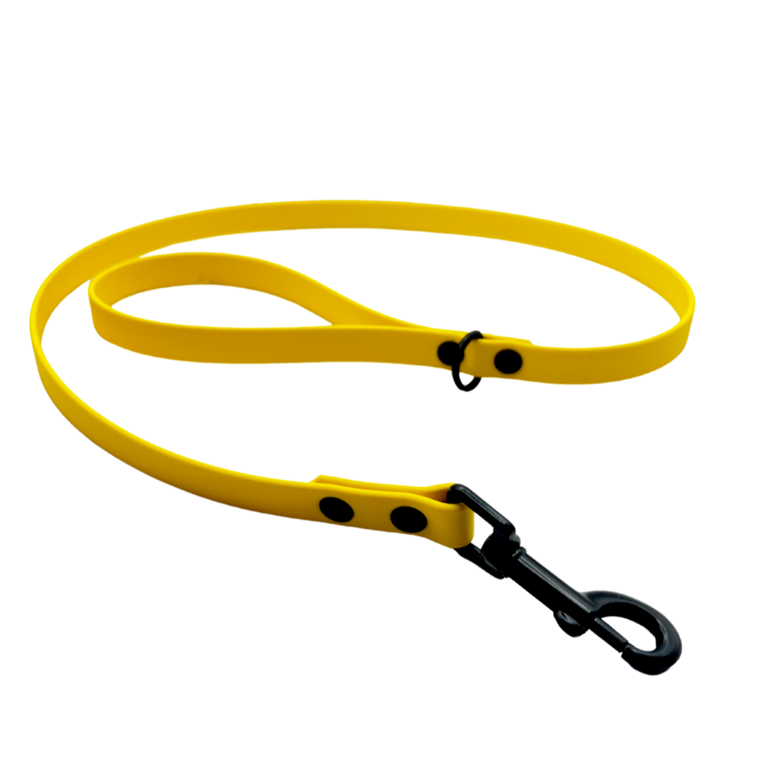 Everyday Short Leash - Yellow
