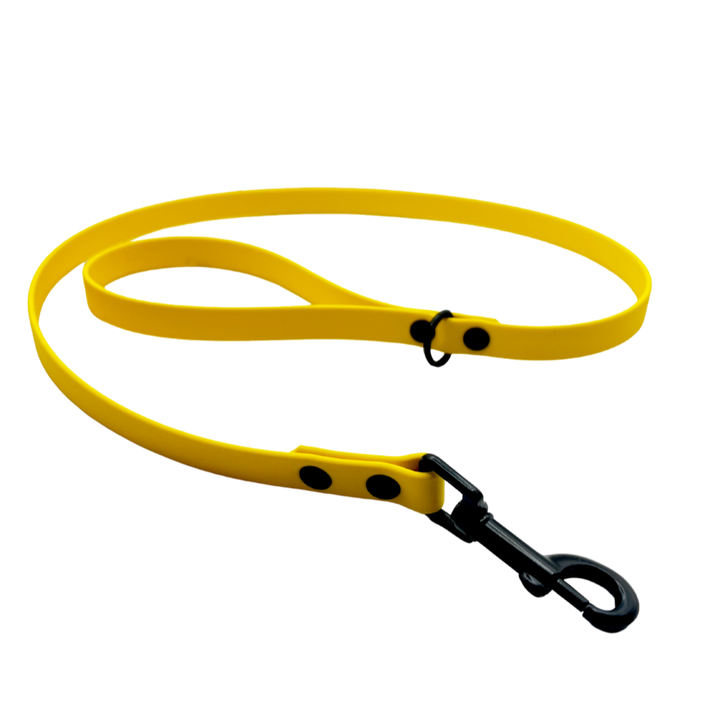 Everyday Short Leash - Yellow