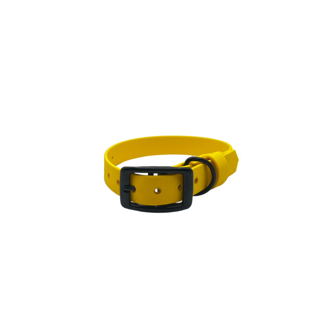 Belt Buckle Collar - Yellow