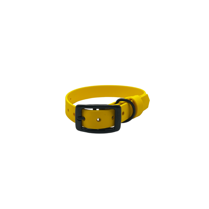 Belt Buckle Collar - Yellow