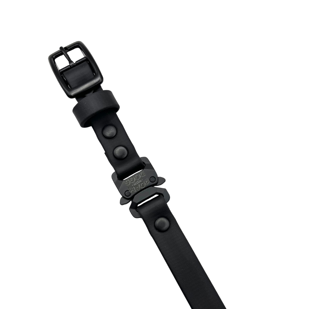 E Collar Strap - Black