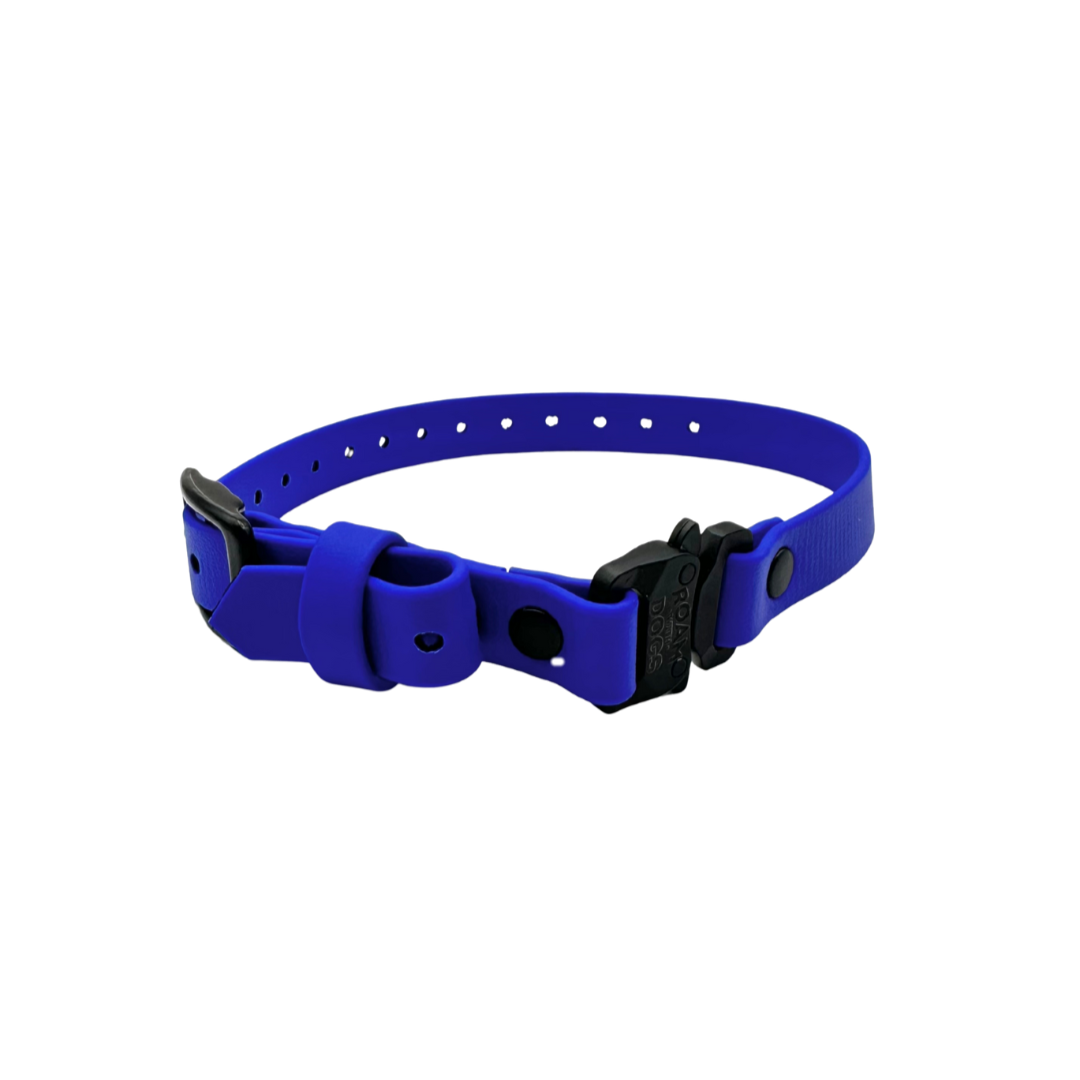 E Collar Strap - Royal Blue