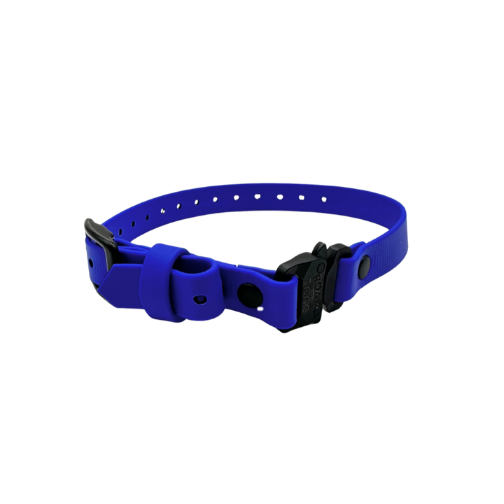 E Collar Strap - Royal Blue