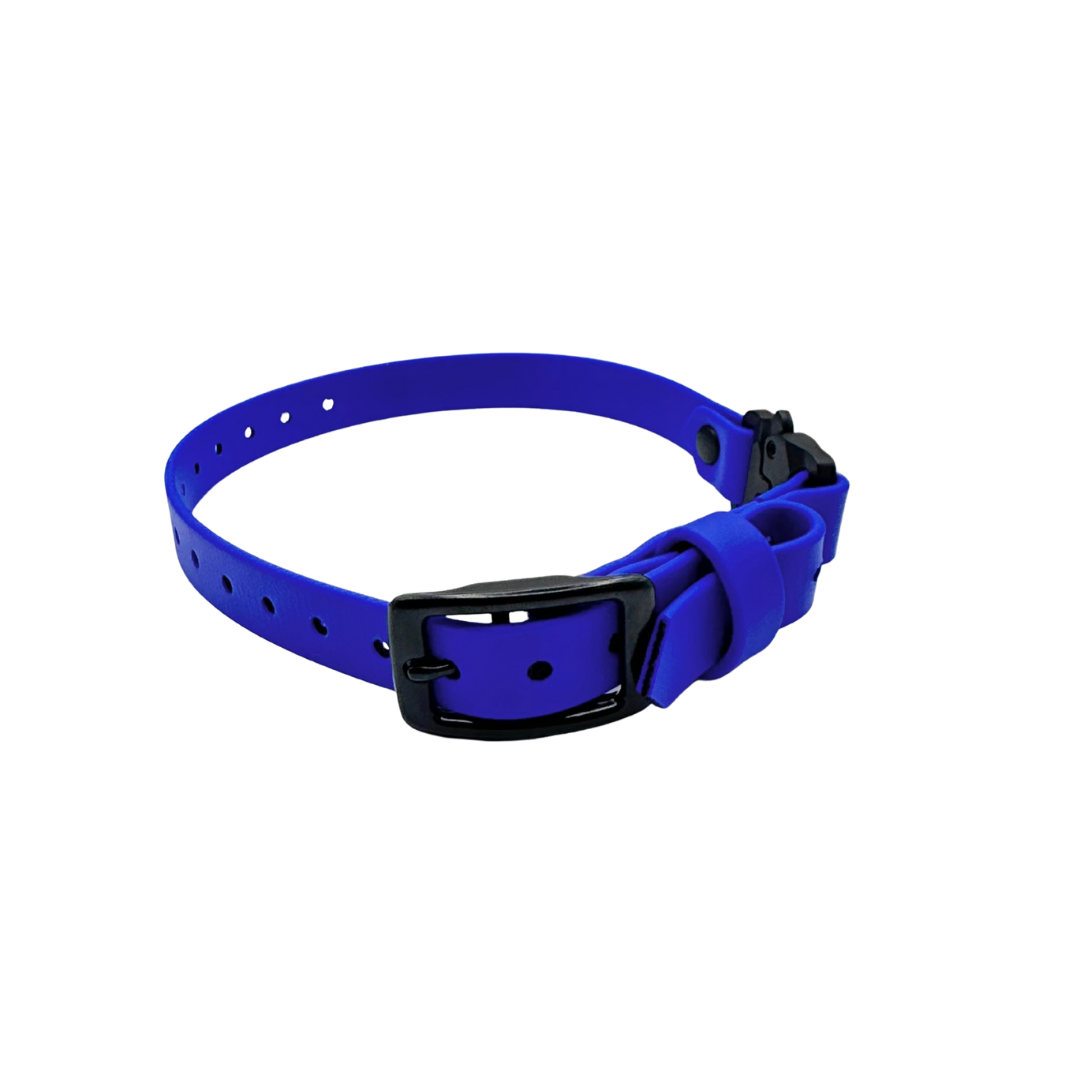 E Collar Strap - Royal Blue