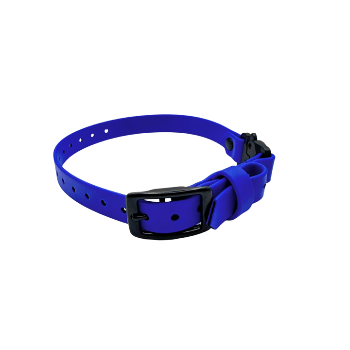 E Collar Strap - Royal Blue