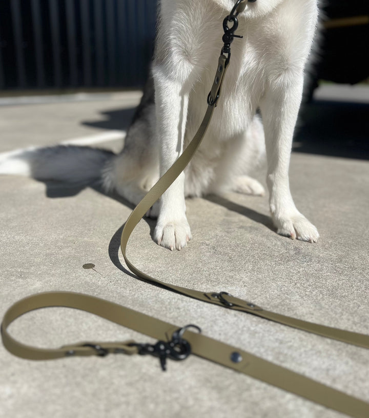 Multi-Clip Leash - Olive