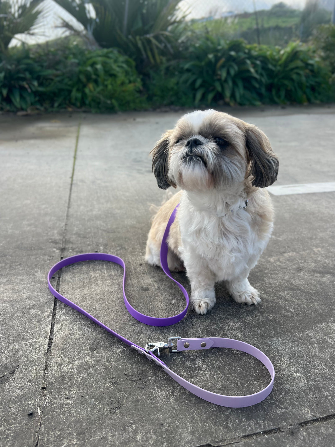 Multi-Clip Leash - Two Toned
