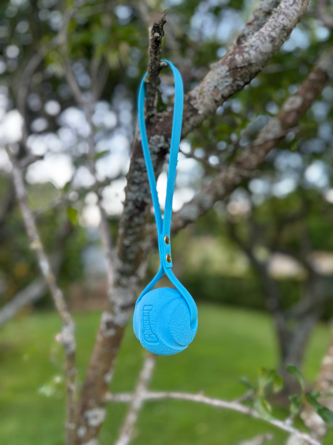 LIMITED EDITION ChuckIt Ball Tug