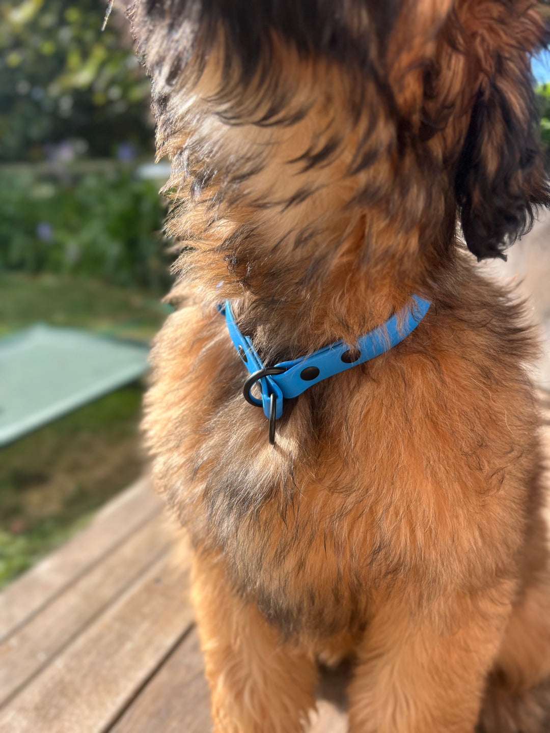 Slip Collar - Sky