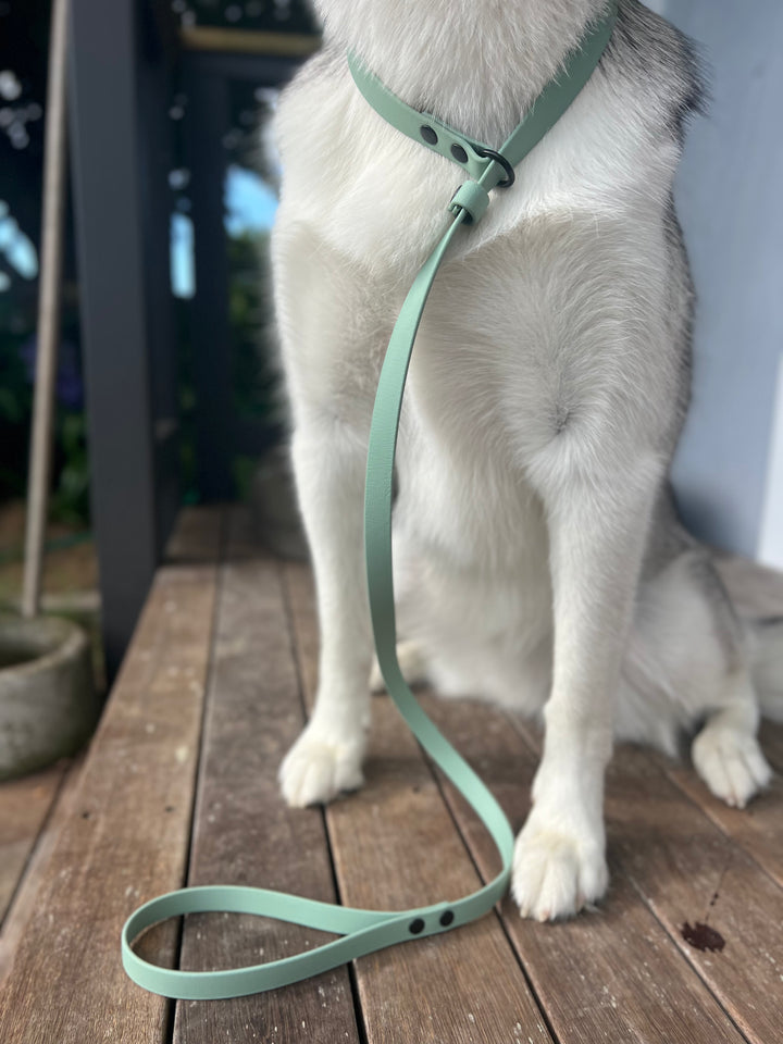 Slip Leash - Sage