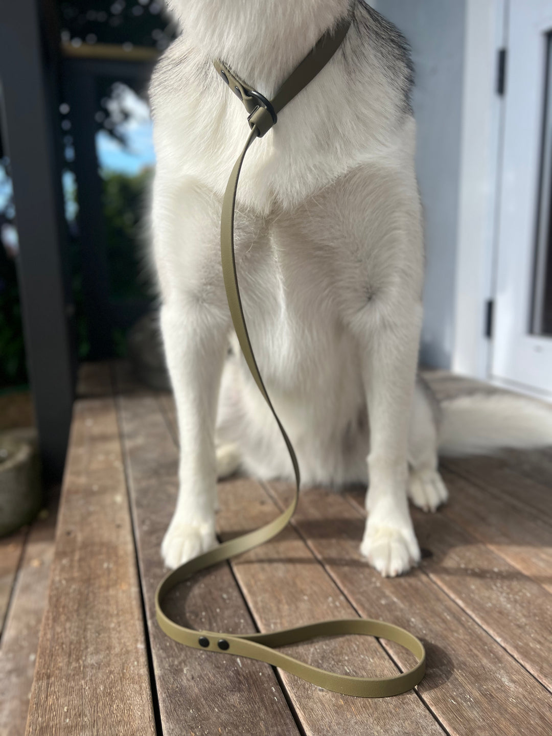 Slip Leash - Olive