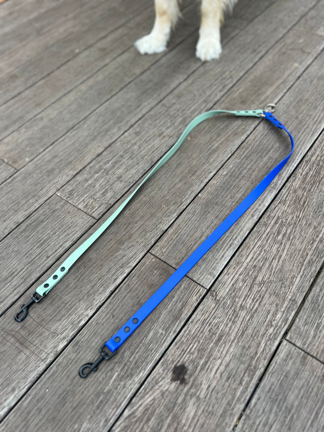 Coupler Leash Attachment - Two Toned