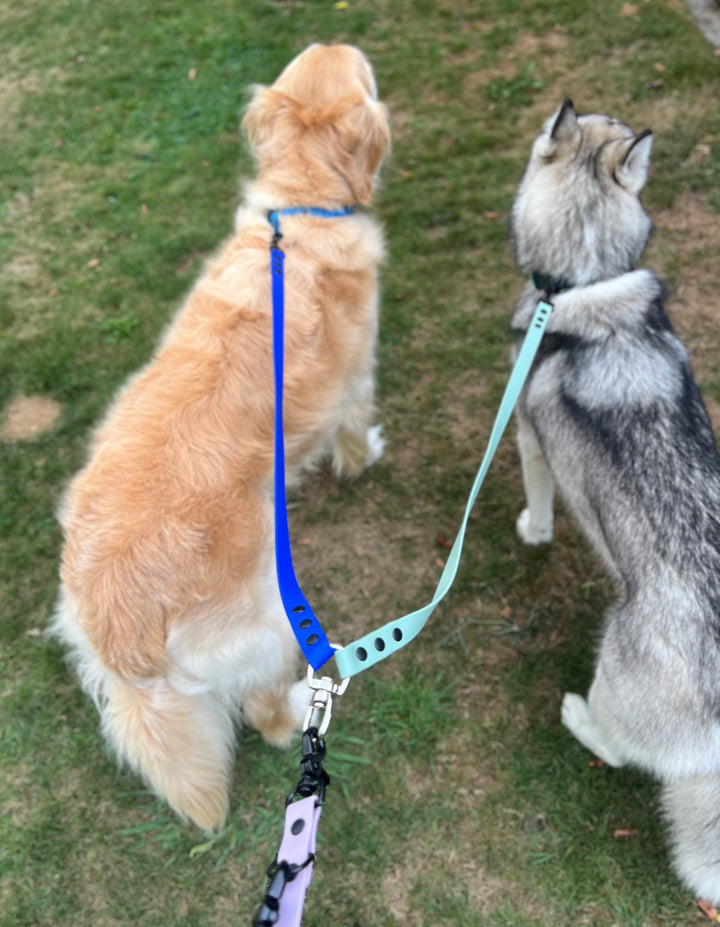Coupler Leash Attachment - Two Toned