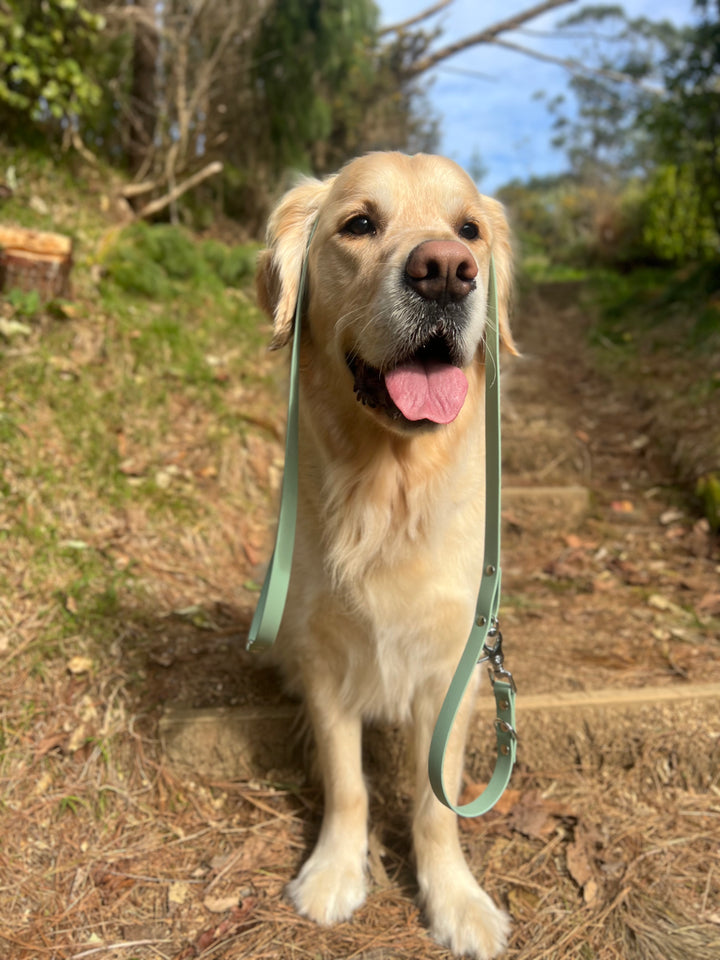 Multi-Clip Leash - Sage
