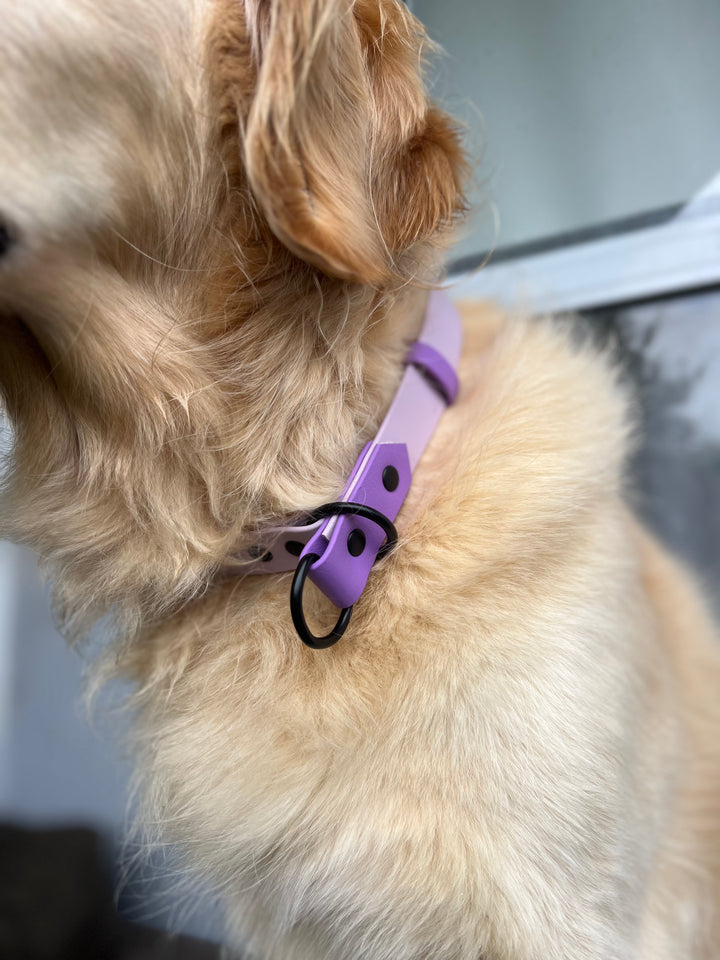 Slip Collar - Two Toned