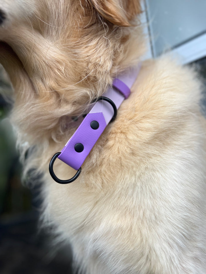 Slip Collar - Two Toned