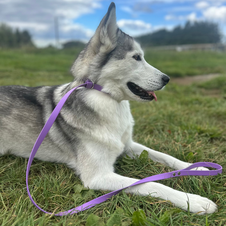 Slip Leash - Orchid Amethyst