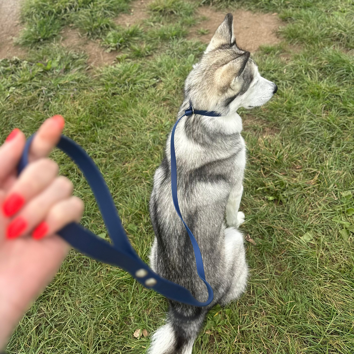 Slip Leash - Navy