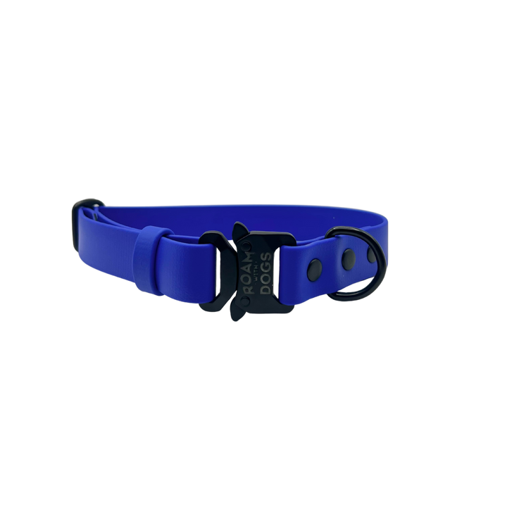 Clip Buckle Collar - Royal Blue