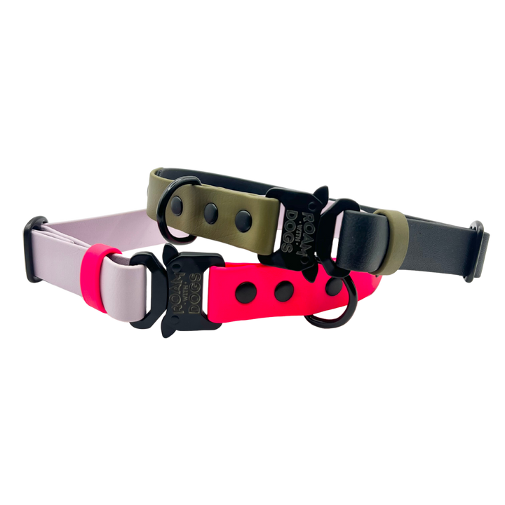 Clip Buckle Collar - Two Toned