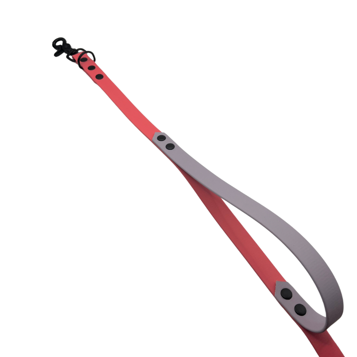 Handsfree Leash - Two Toned