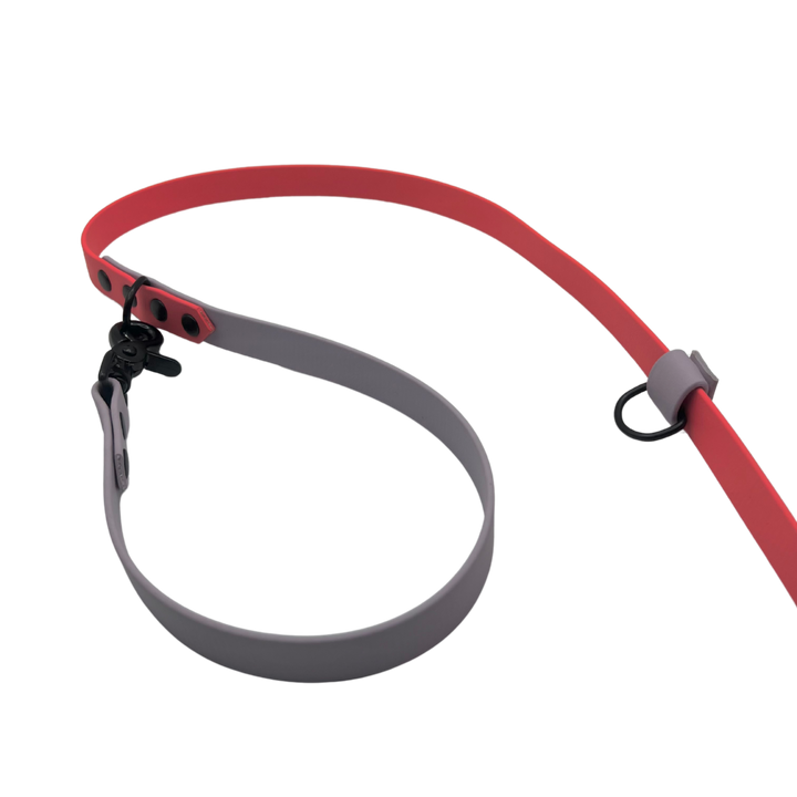 Handsfree Leash - Two Toned