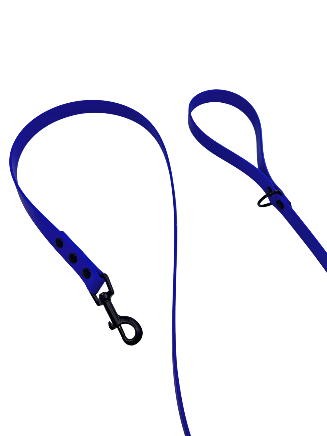 Everyday Leash - Royal Blue