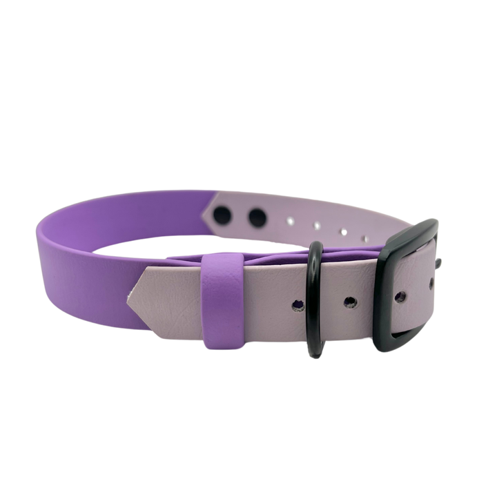 Belt Buckle Collar - Two Toned