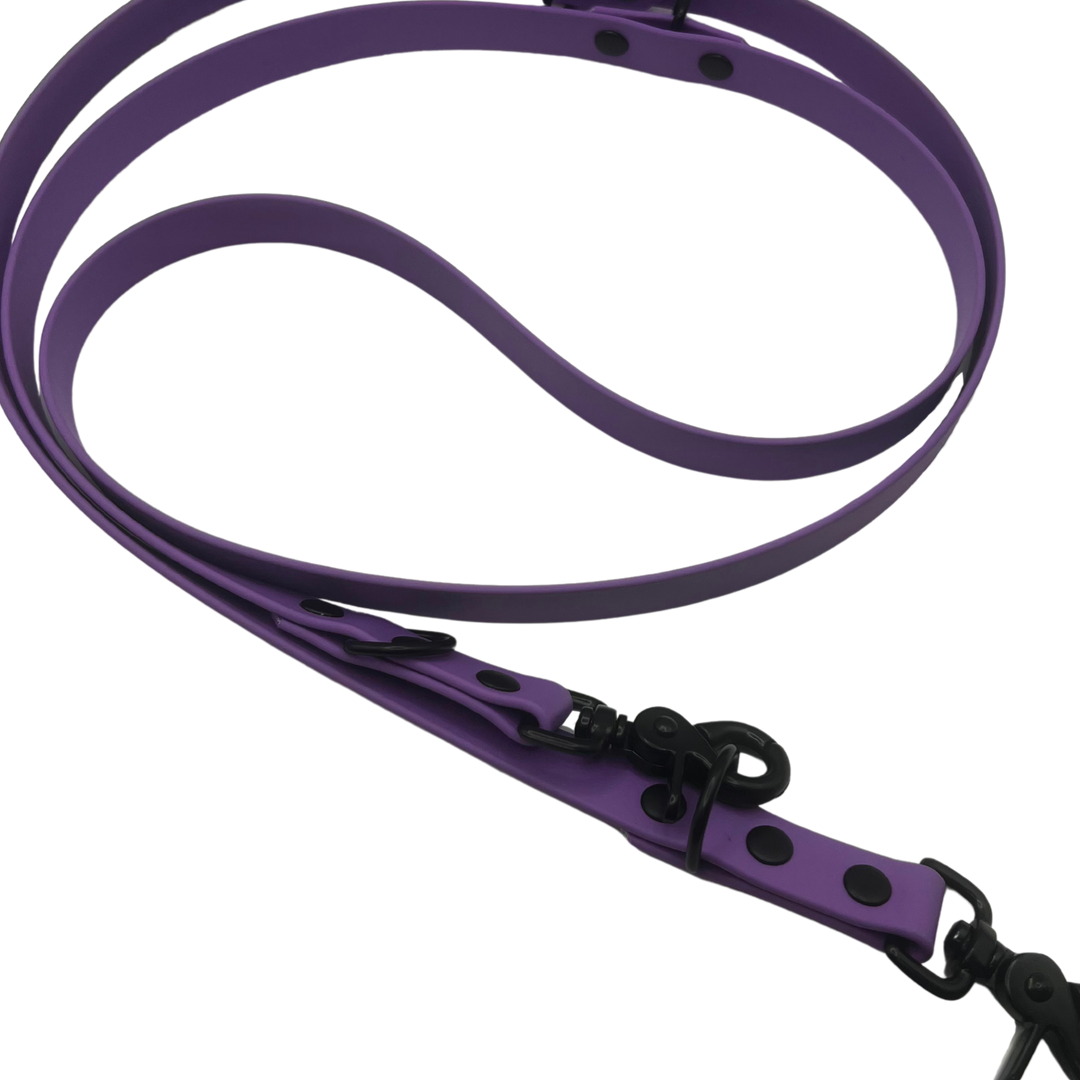 Multi-Clip Leash - Orchid Amethyst