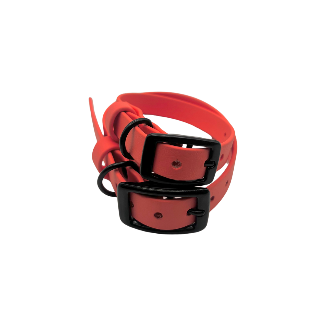 Belt Buckle Collar - Coral