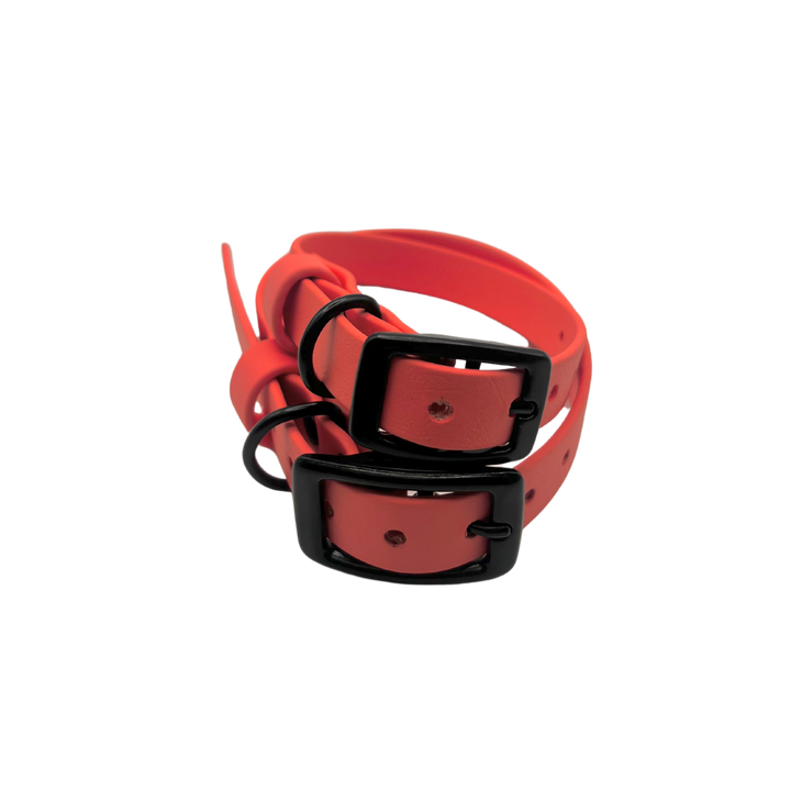 Belt Buckle Collar - Coral