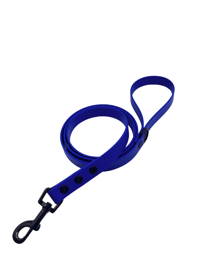 Everyday Leash - Royal Blue