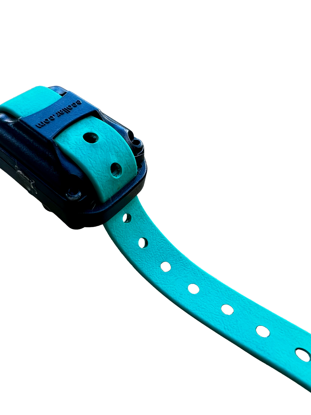 E Collar Strap - Teal