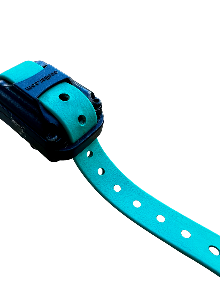 E Collar Strap - Teal