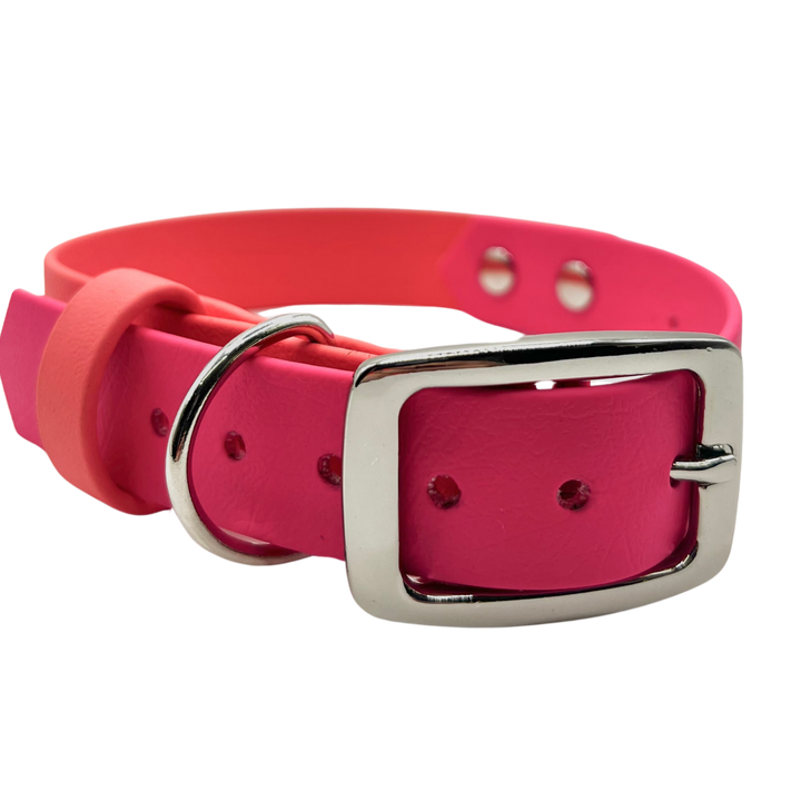 Belt Buckle Collar - Two Toned