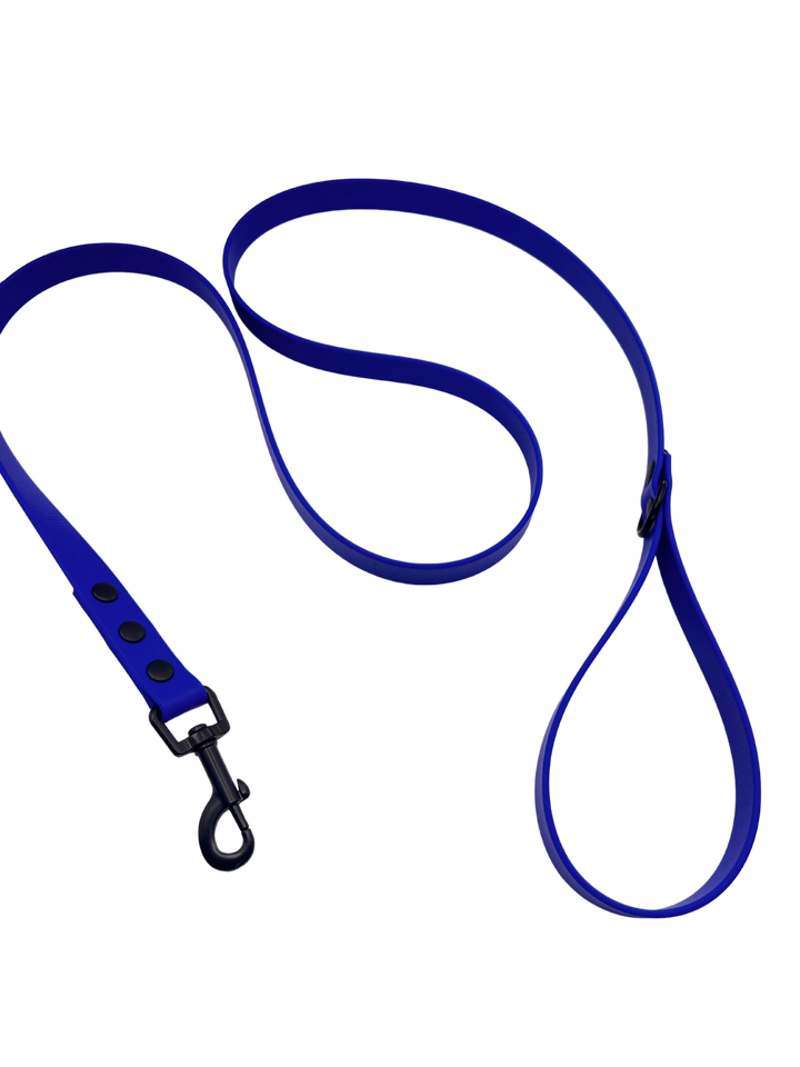 Everyday Leash - Royal Blue