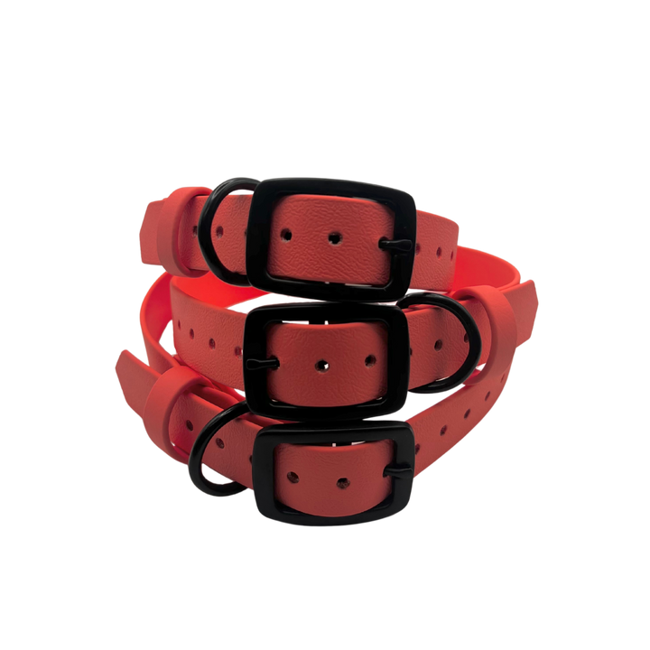 Belt Buckle Collar - Coral