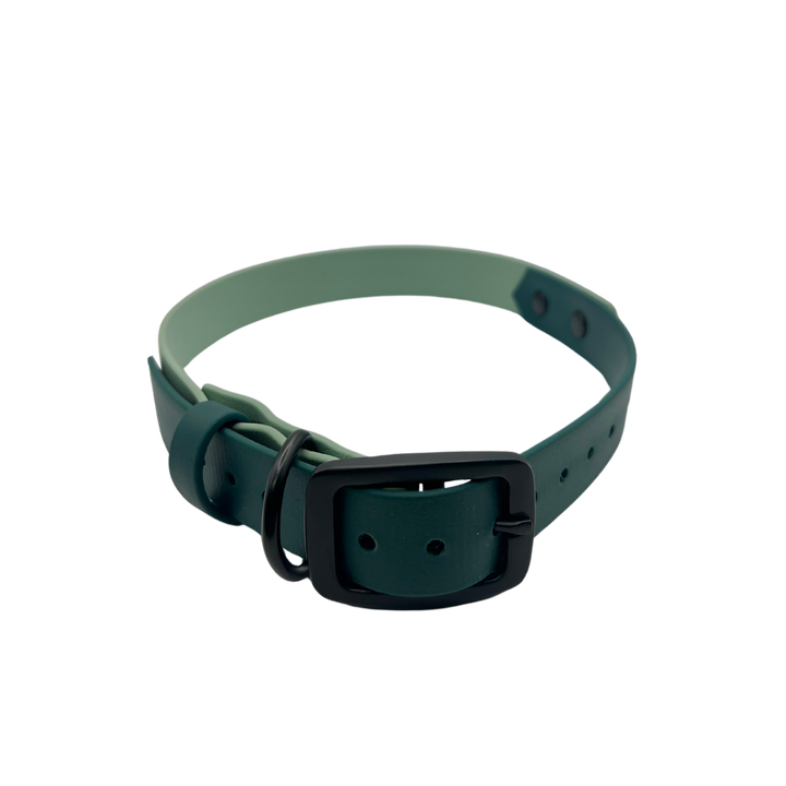 Belt Buckle Collar - Two Toned