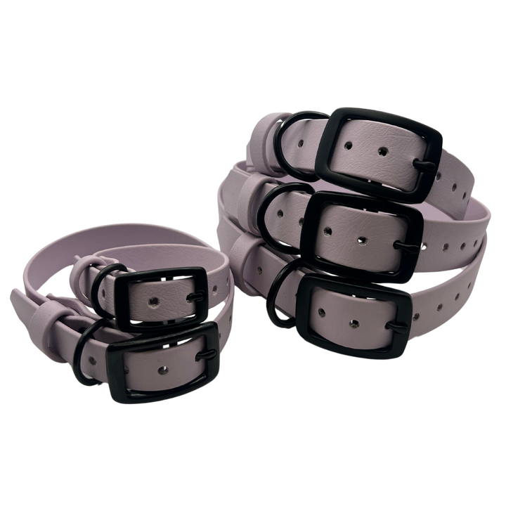 Belt Buckle Collar - Lavender