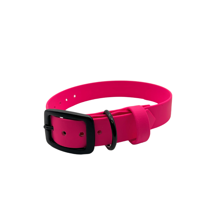 Belt Buckle Collar - Deep Pink