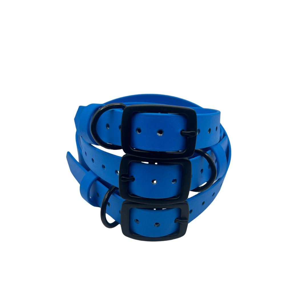 Belt Buckle Collar - Sky